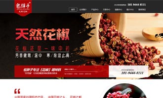 包胖子武都花椒网站正式上线运营 